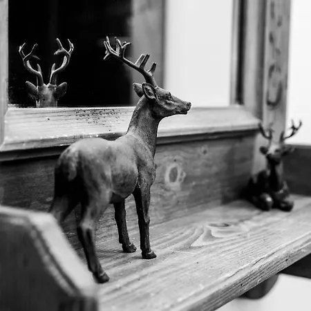 Le Cerf